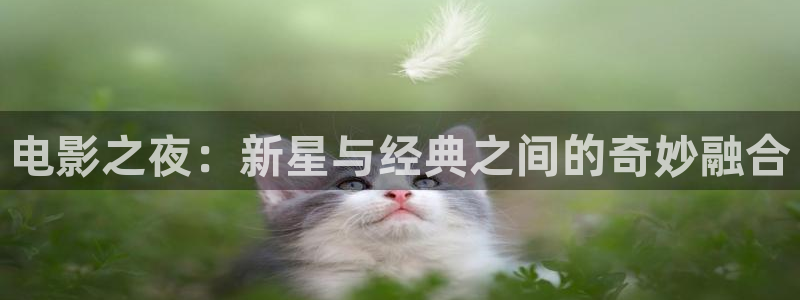 五月网飘花电影院高清电影